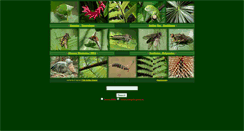 Desktop Screenshot of geller-grimm.de